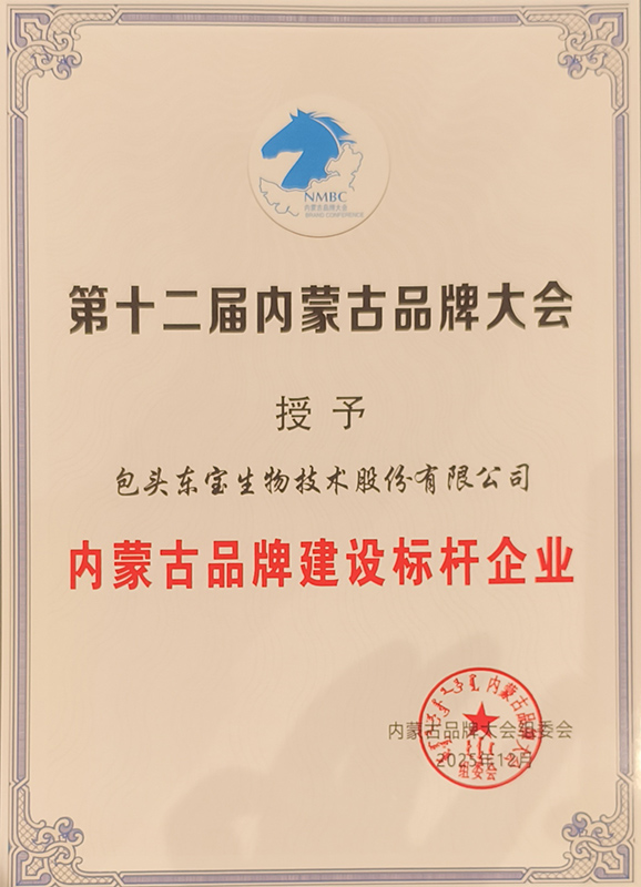 1765358769508676.jpg 品牌建设标杆(幼!!!!).jpg